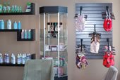 St Louis Dog Salon